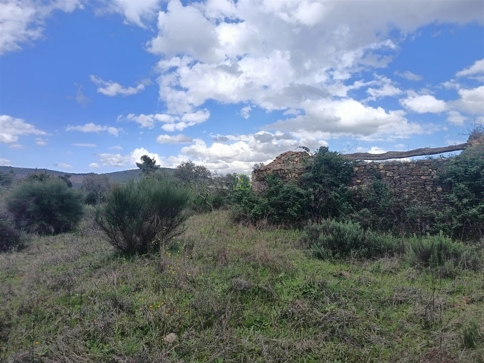 Quinta T0 para Venda em Penamacor Foto 44