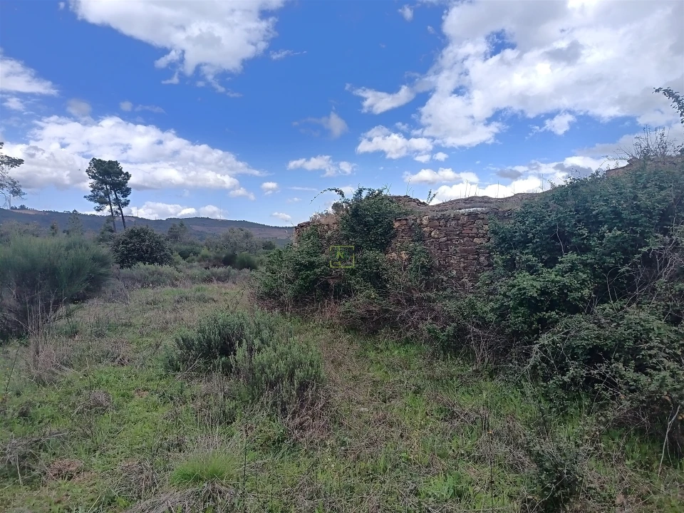 Quinta T0 para Venda em Penamacor Foto 41