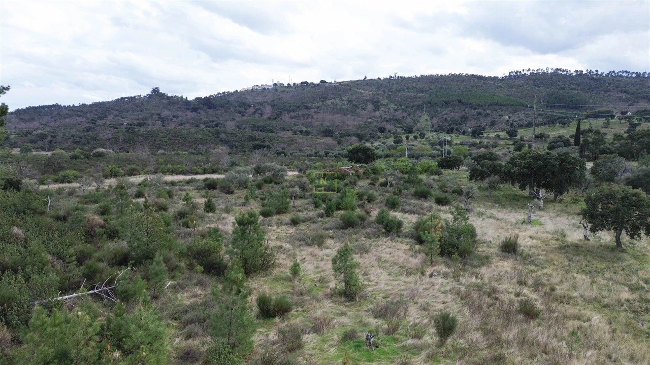 Quinta T0 para Venda em Penamacor Foto 30