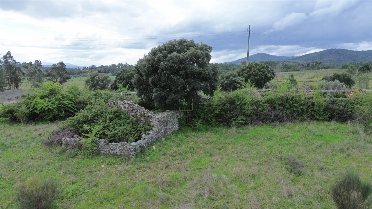 Quinta T0 para Venda em Penamacor Foto 14