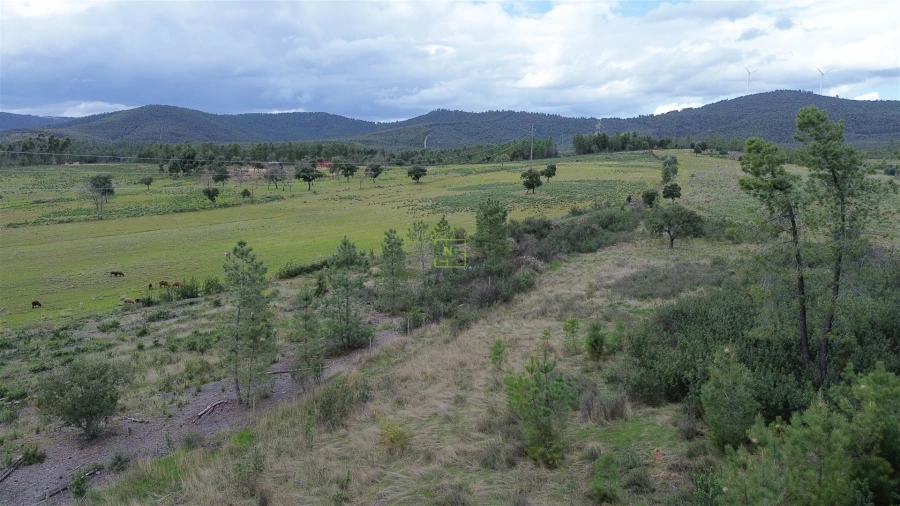 Quinta T0 para Venda em Penamacor Foto 29