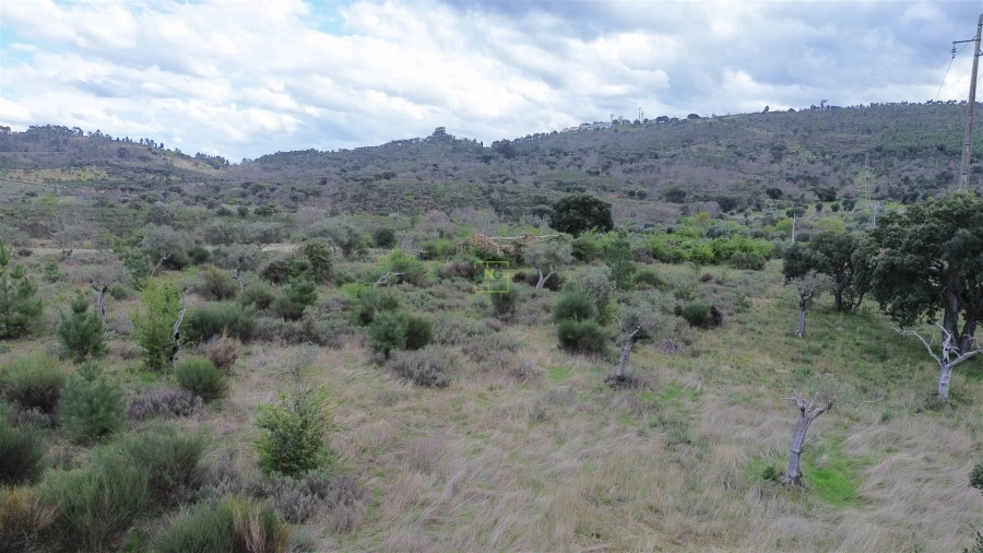 Quinta T0 para Venda em Penamacor Foto 9