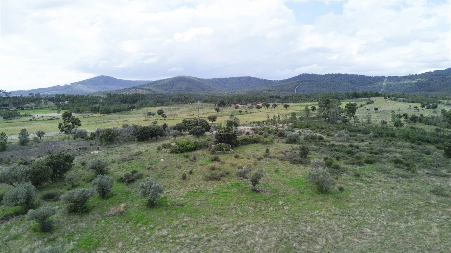 Quinta T0 para Venda em Penamacor Foto 33