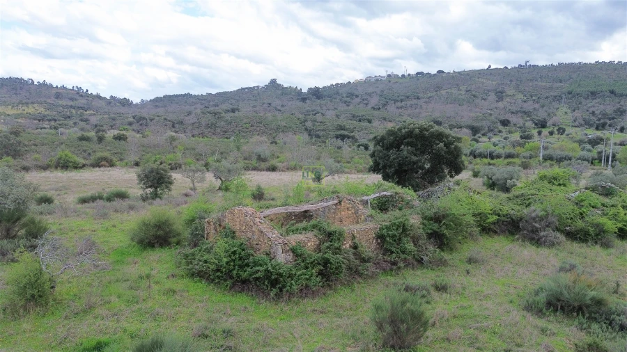 Quinta T0 para Venda em Penamacor Foto 2