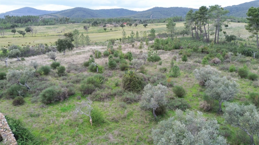 Quinta T0 para Venda em Penamacor Foto 20
