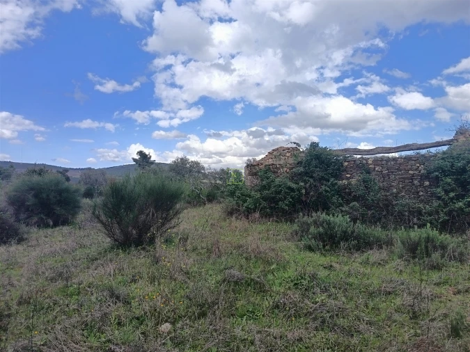 Quinta T0 para Venda em Penamacor Foto 44