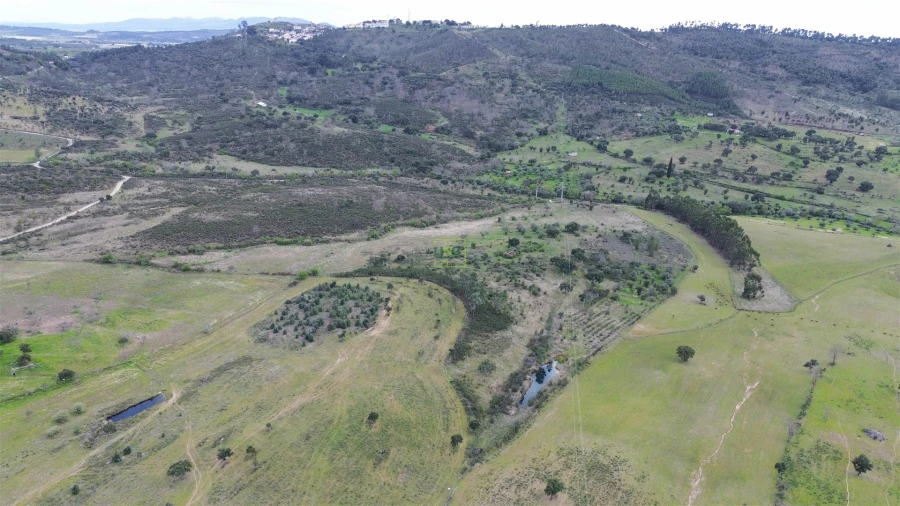 Quinta T0 para Venda em Penamacor Foto 7