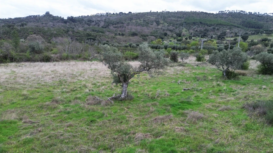 Quinta T0 para Venda em Penamacor Foto 22
