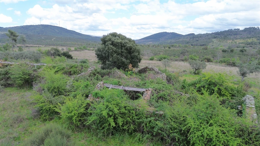 Quinta T0 para Venda em Penamacor Foto 27