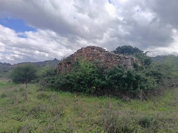 Quinta T0 para Venda em Penamacor Foto 39