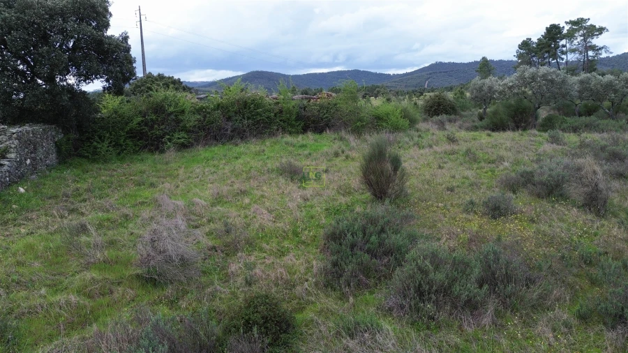 Quinta T0 para Venda em Penamacor Foto 25