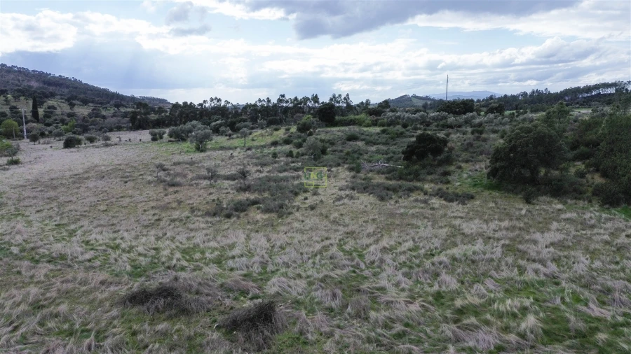 Quinta T0 para Venda em Penamacor Foto 18