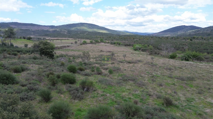 Quinta T0 para Venda em Penamacor Foto 17