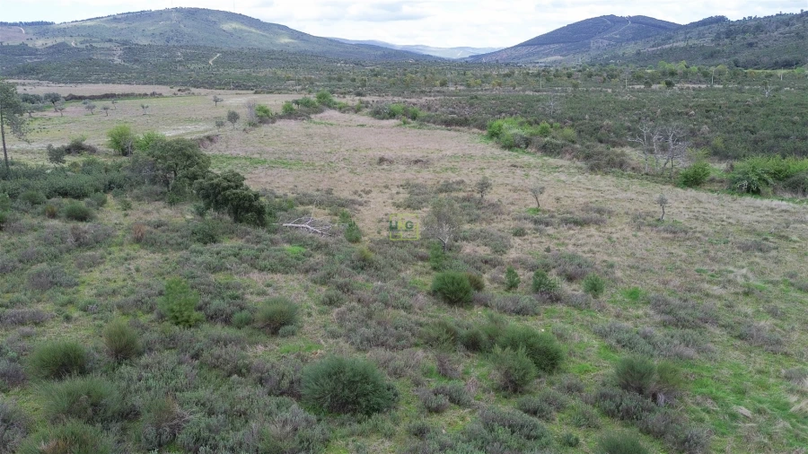 Quinta T0 para Venda em Penamacor Foto 21