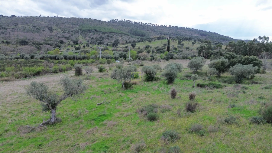Quinta T0 para Venda em Penamacor Foto 16