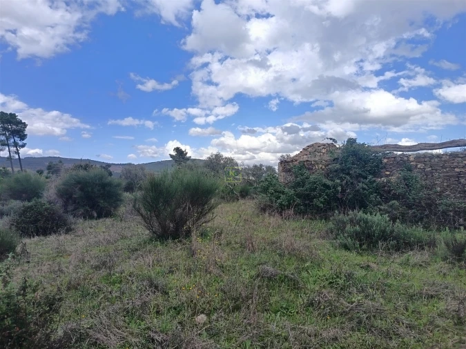 Quinta T0 para Venda em Penamacor Foto 43