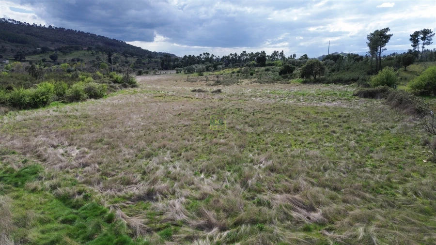 Quinta T0 para Venda em Penamacor Foto 36