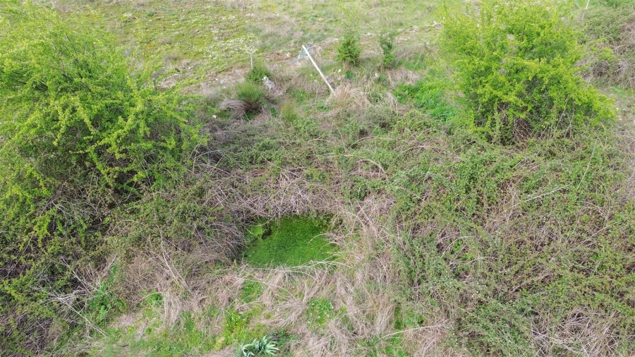 Quinta T0 para Venda em Penamacor Foto 35