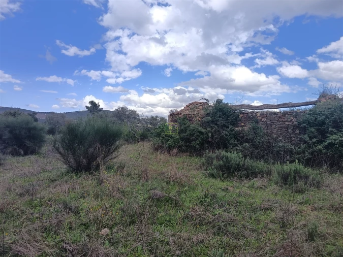 Quinta T0 para Venda em Penamacor Foto 42