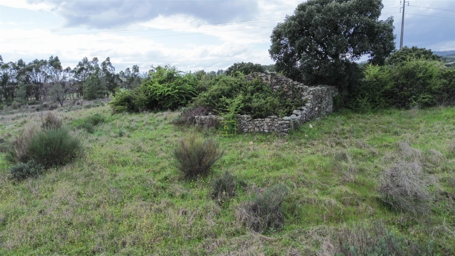 Quinta T0 para Venda em Penamacor Foto 26