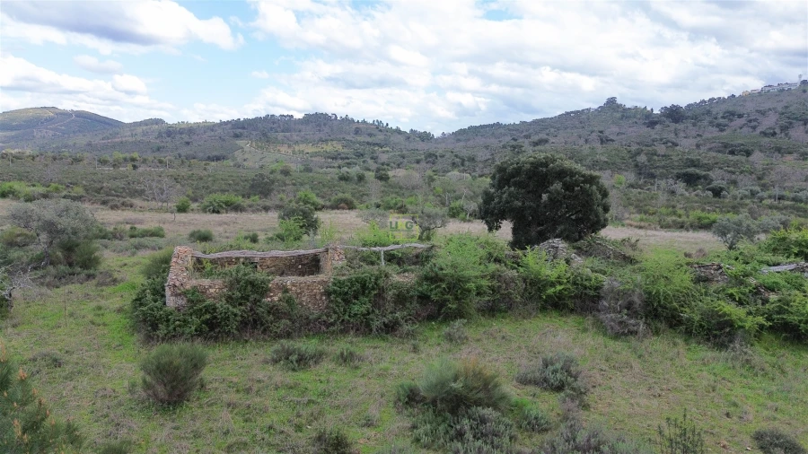 Quinta T0 para Venda em Penamacor Foto 12