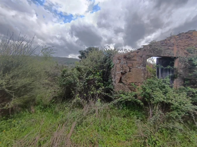 Quinta T0 para Venda em Penamacor Foto 38