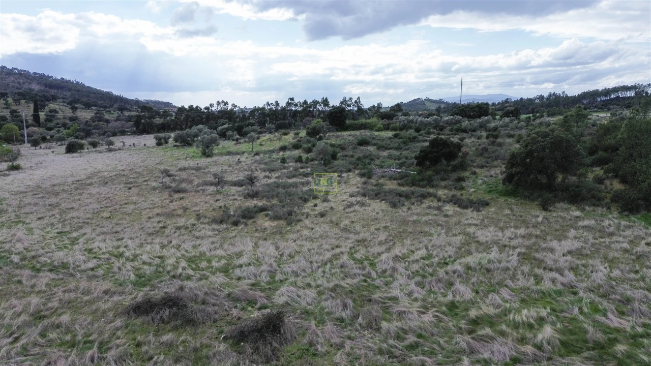 Quinta T0 para Venda em Penamacor Foto 18