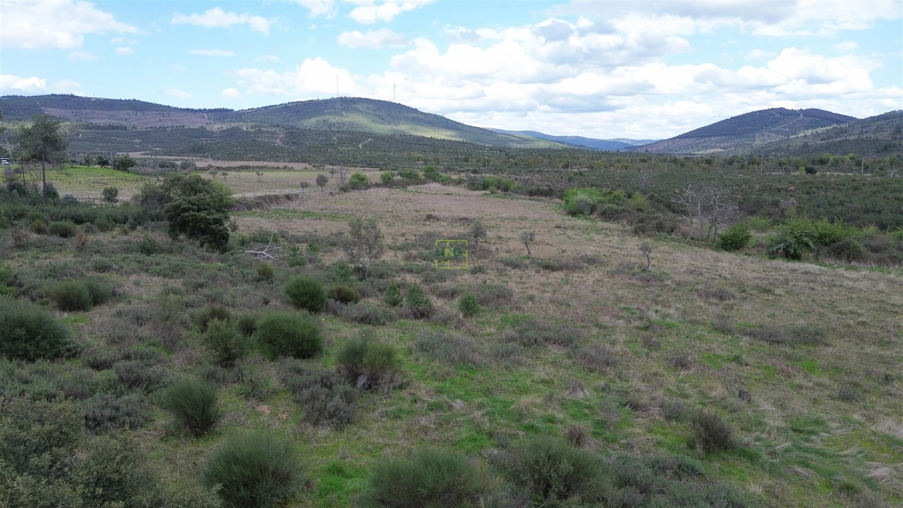 Quinta T0 para Venda em Penamacor Foto 17