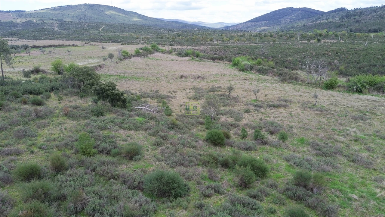Quinta T0 para Venda em Penamacor Foto 21