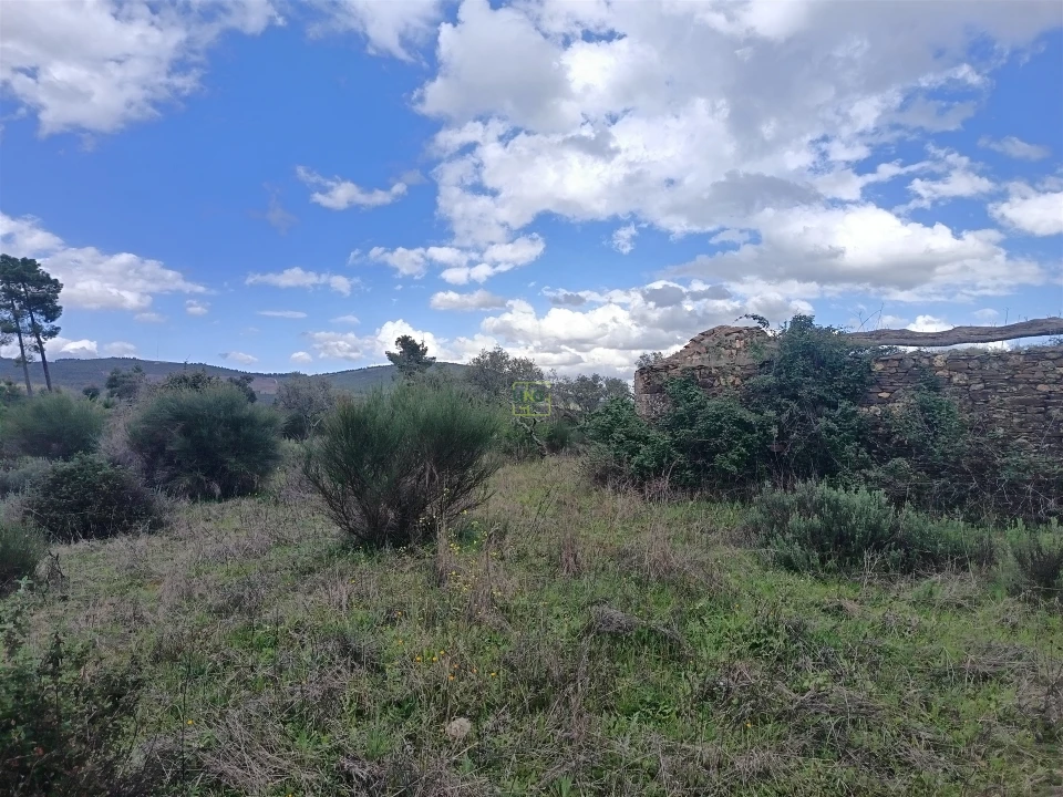 Quinta T0 para Venda em Penamacor Foto 43