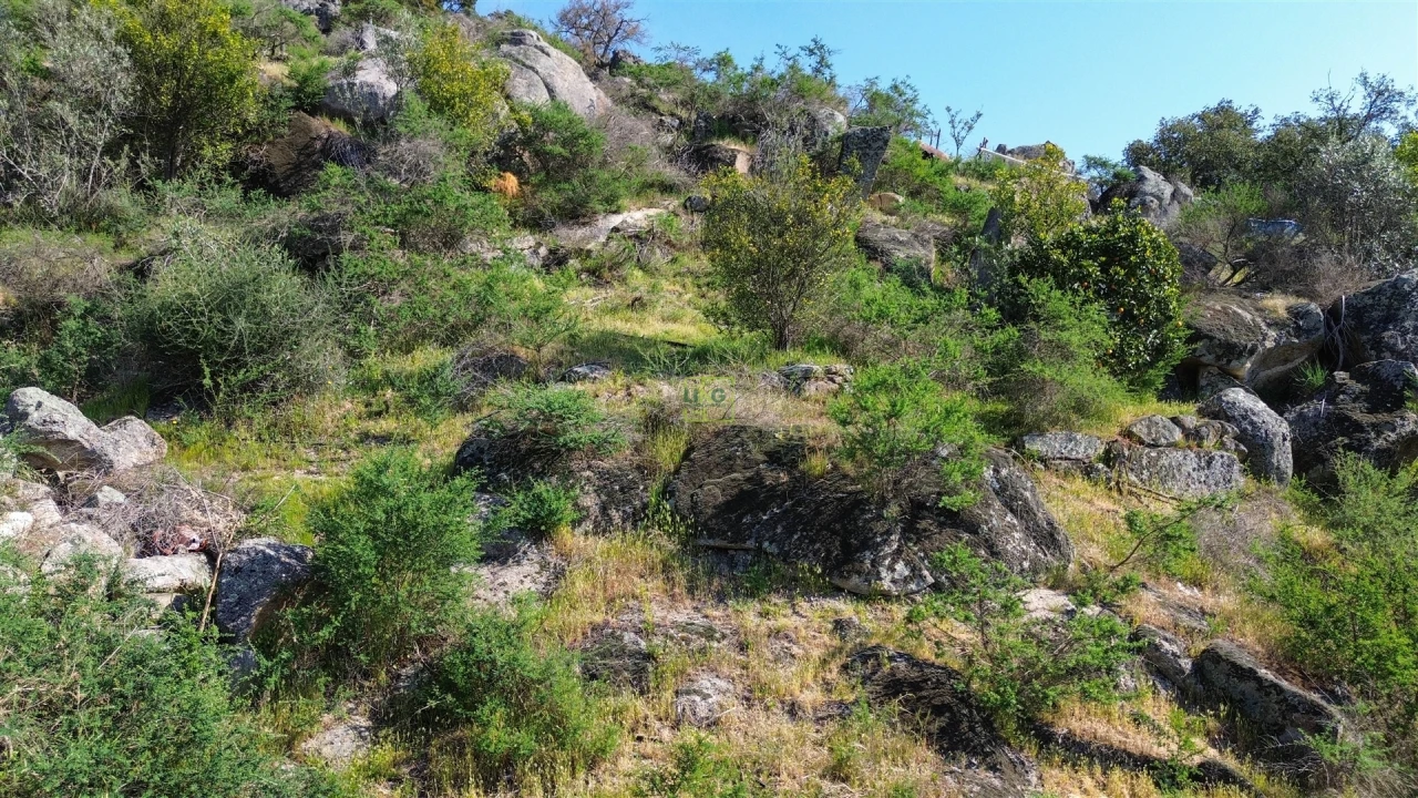 Terreno para Venda em Idanha-A-Nova e Alcafozes Foto 29