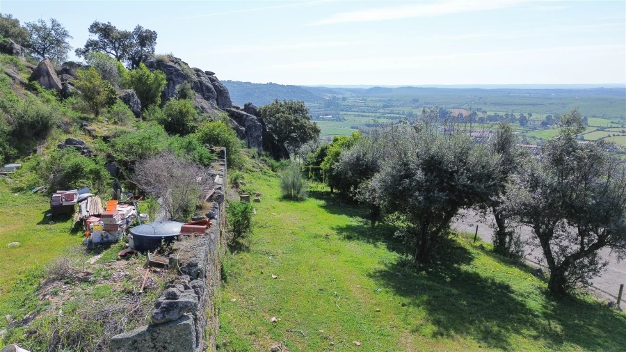 Terreno para Venda em Idanha-A-Nova e Alcafozes Foto 21