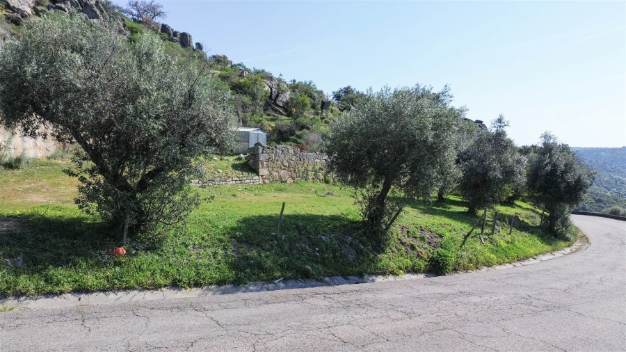 Terreno para Venda em Idanha-A-Nova e Alcafozes Foto 36