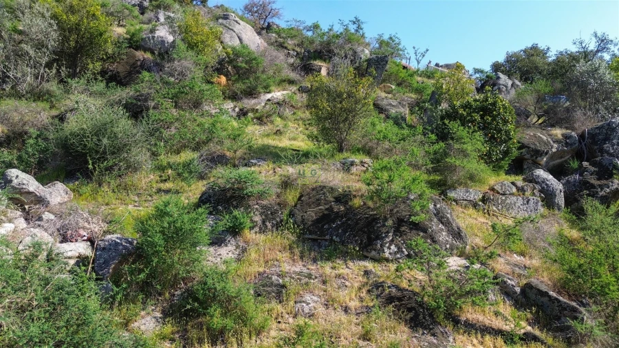 Terreno para Venda em Idanha-A-Nova e Alcafozes Foto 29