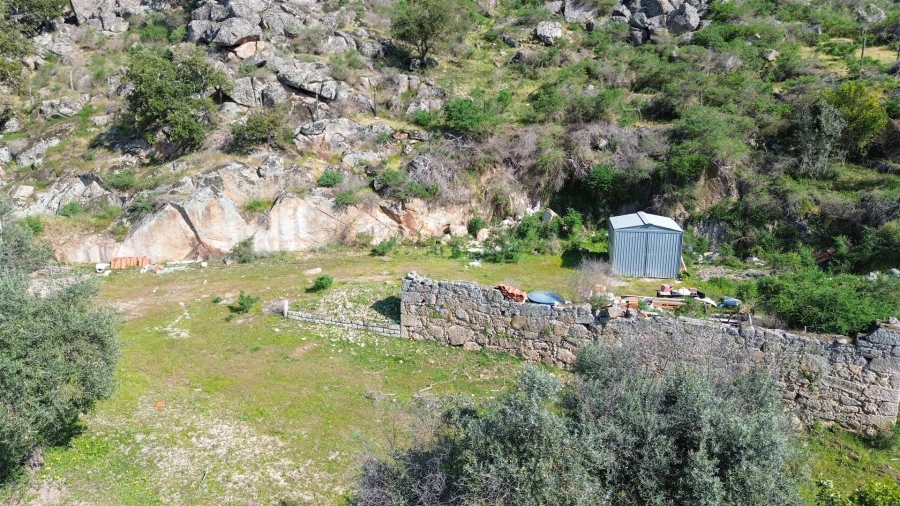 Terreno para Venda em Idanha-A-Nova e Alcafozes Foto 16