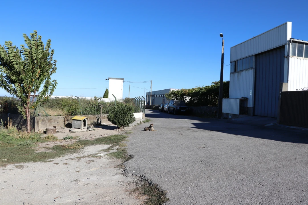 Terreno para Venda em Lustosa e Barrosas (Santo Estêvão) Foto 6