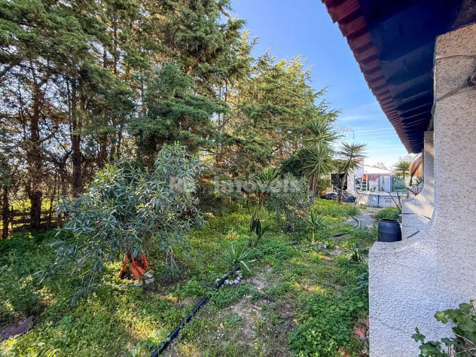 Moradia T4 para Venda em São Miguel do Rio Torto e Rossio Ao Sul do Tejo Foto 66