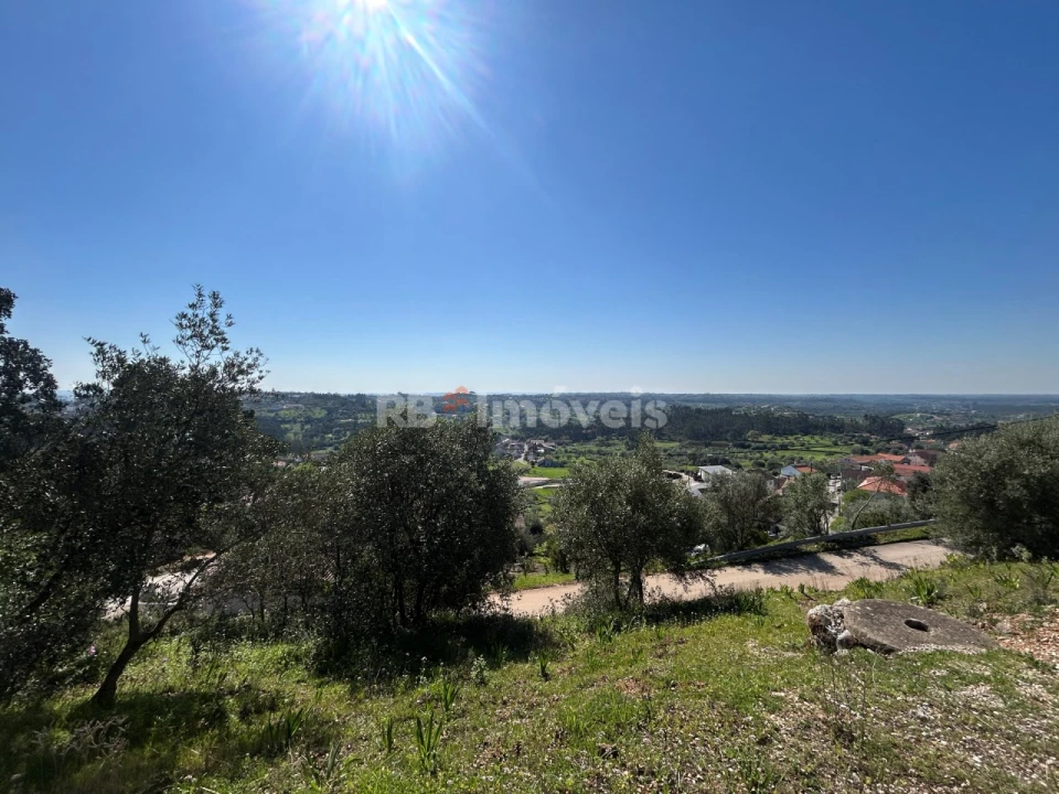 Moradia T1 para Venda em Chancelaria Foto 5