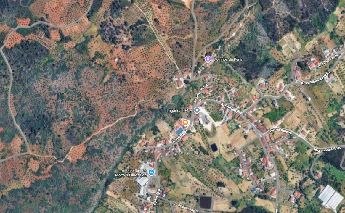 Moradia T1 para Venda em Chancelaria Planta 2