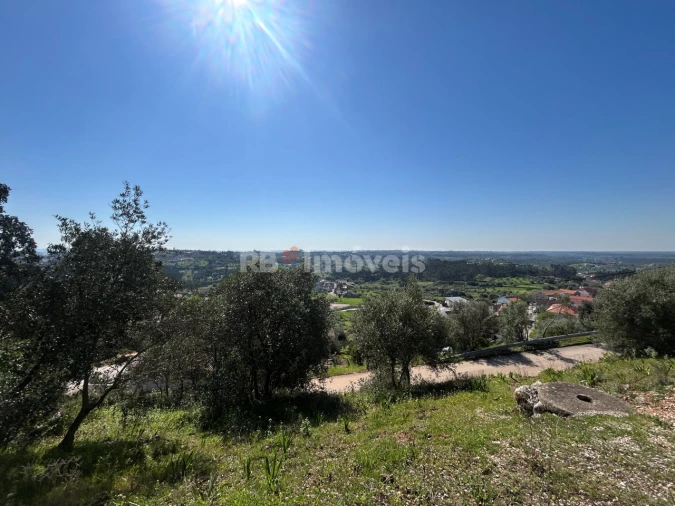 Moradia T1 para Venda em Chancelaria Foto 5