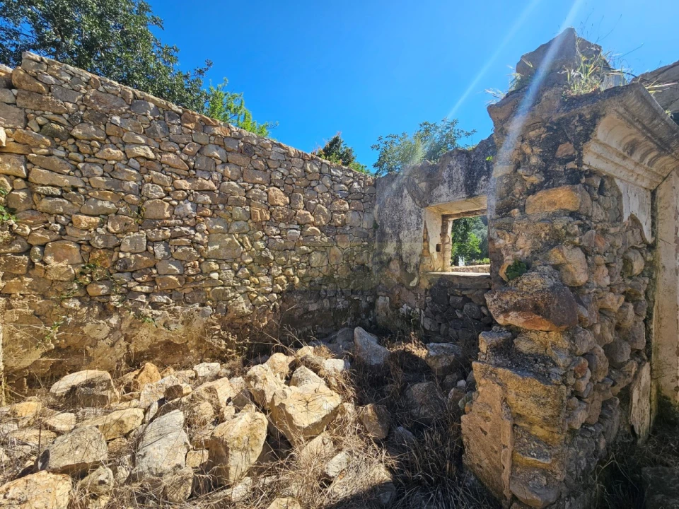 Terreno para Venda em Loule (São Sebastião) Foto 7