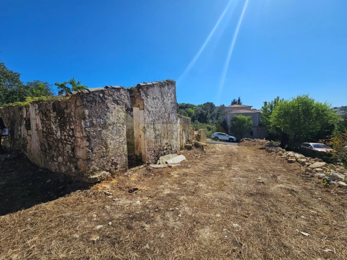 Terreno para Venda em Loule (São Sebastião) Foto 3