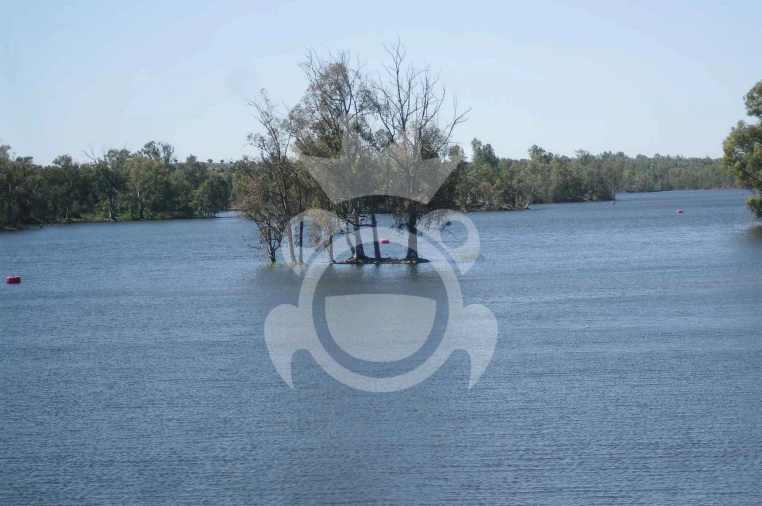 Terreno para Venda em Corte do Pinto Foto 19