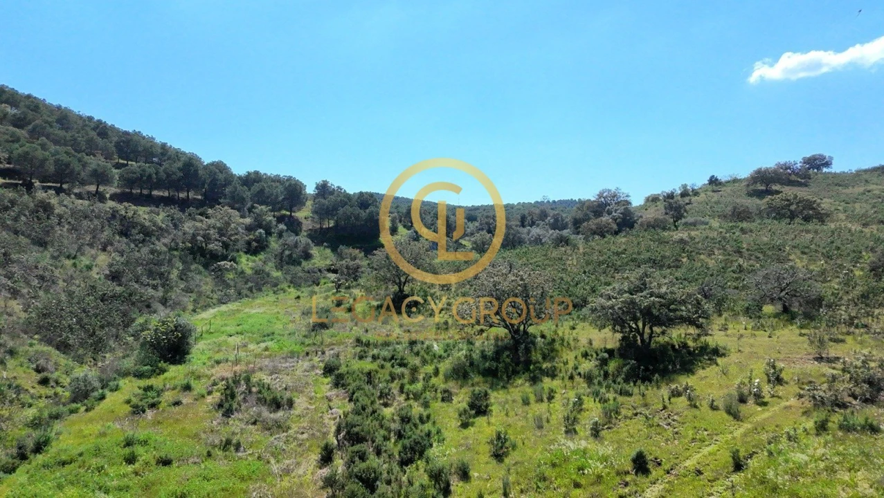 Terreno para Venda em Vaqueiros Foto 15