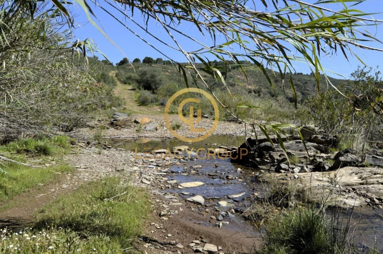 Terreno para Venda em Vaqueiros Foto 11