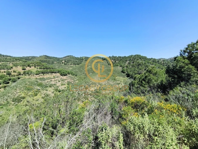 Terreno para Venda em Vaqueiros Foto 14