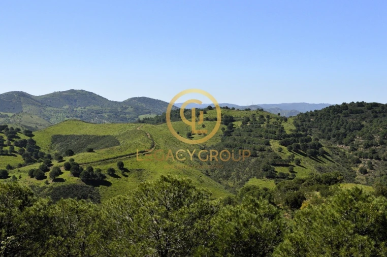 Terreno para Venda em Vaqueiros Foto 18