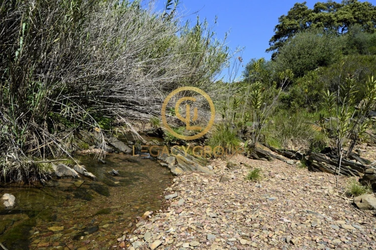 Terreno para Venda em Vaqueiros Foto 12
