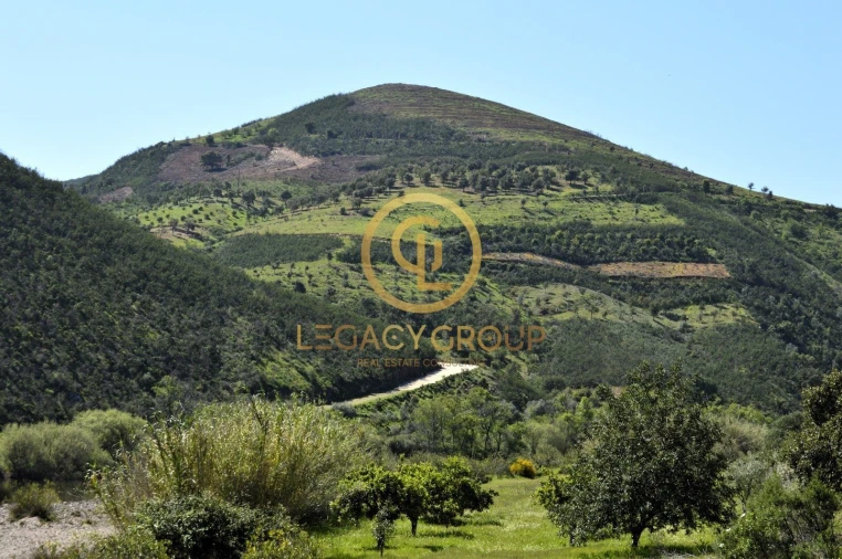 Terreno para Venda em Vaqueiros Foto 4