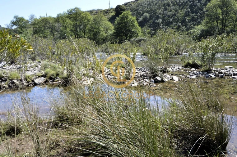 Terreno para Venda em Vaqueiros Foto 9